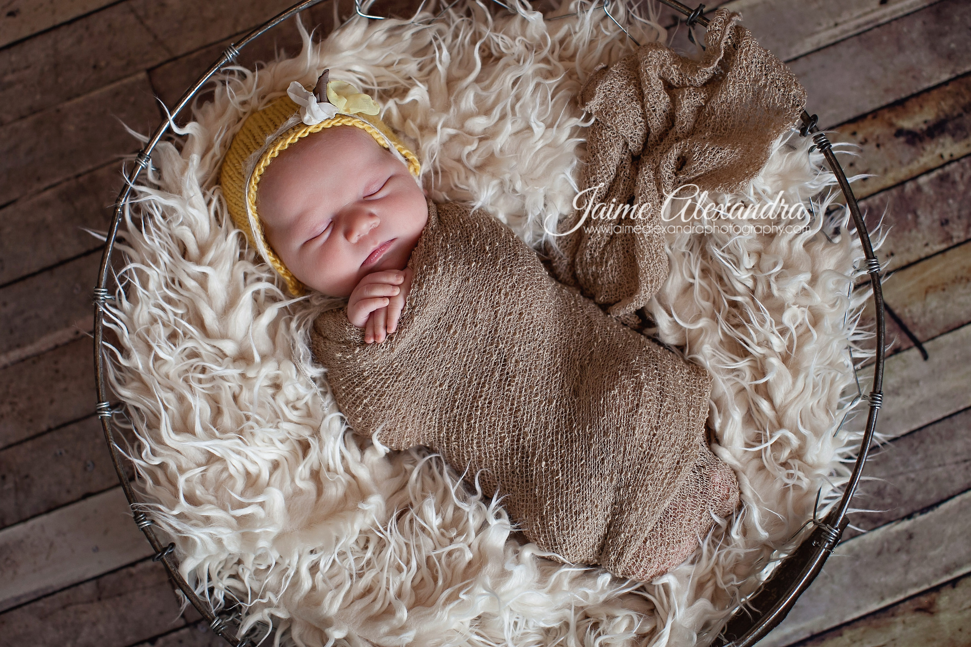 Midlothian Newborn Photographer, Mansfield Newborn Photographer