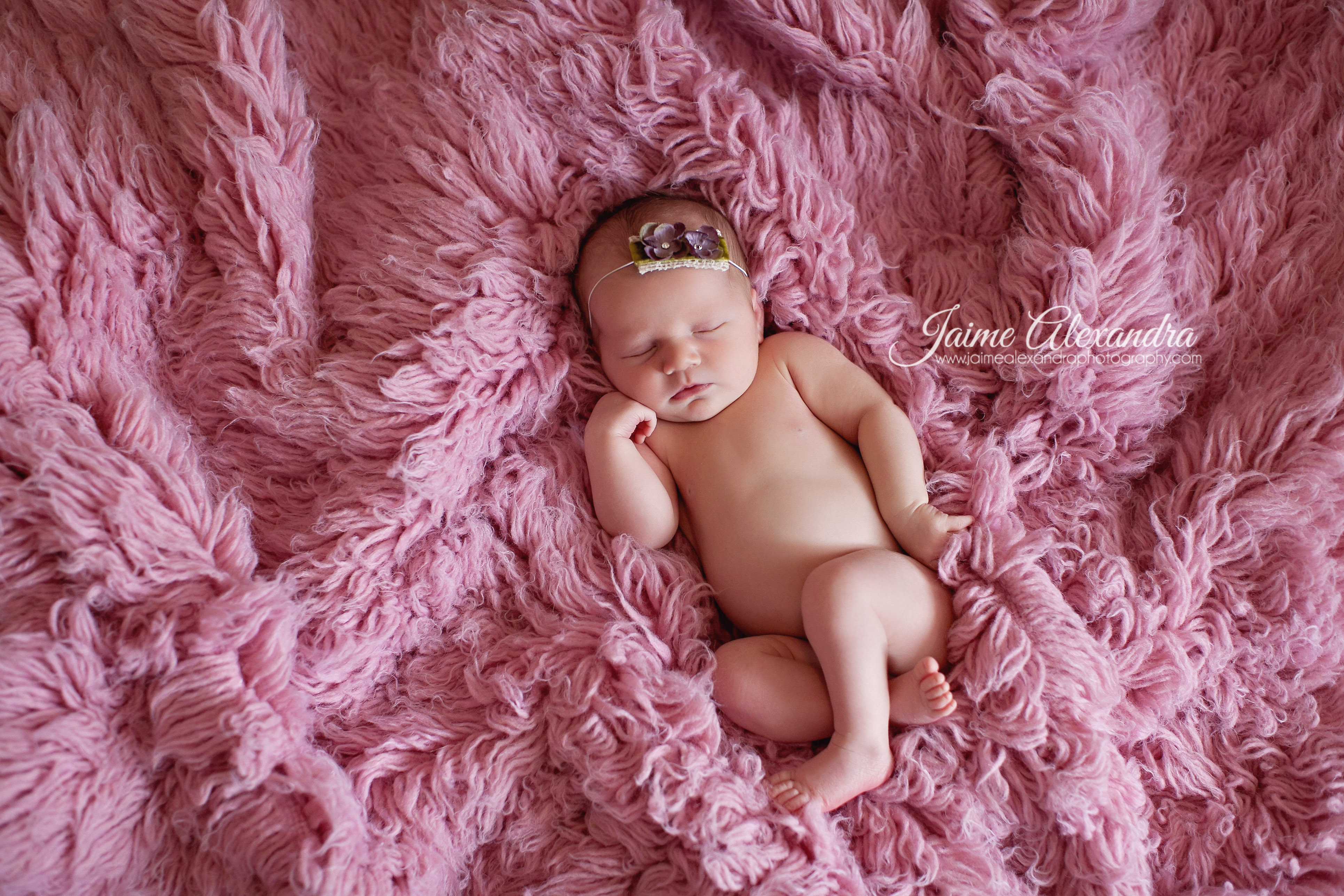 Midlothian Newborn Photographer, Mansfield Newborn Photographer