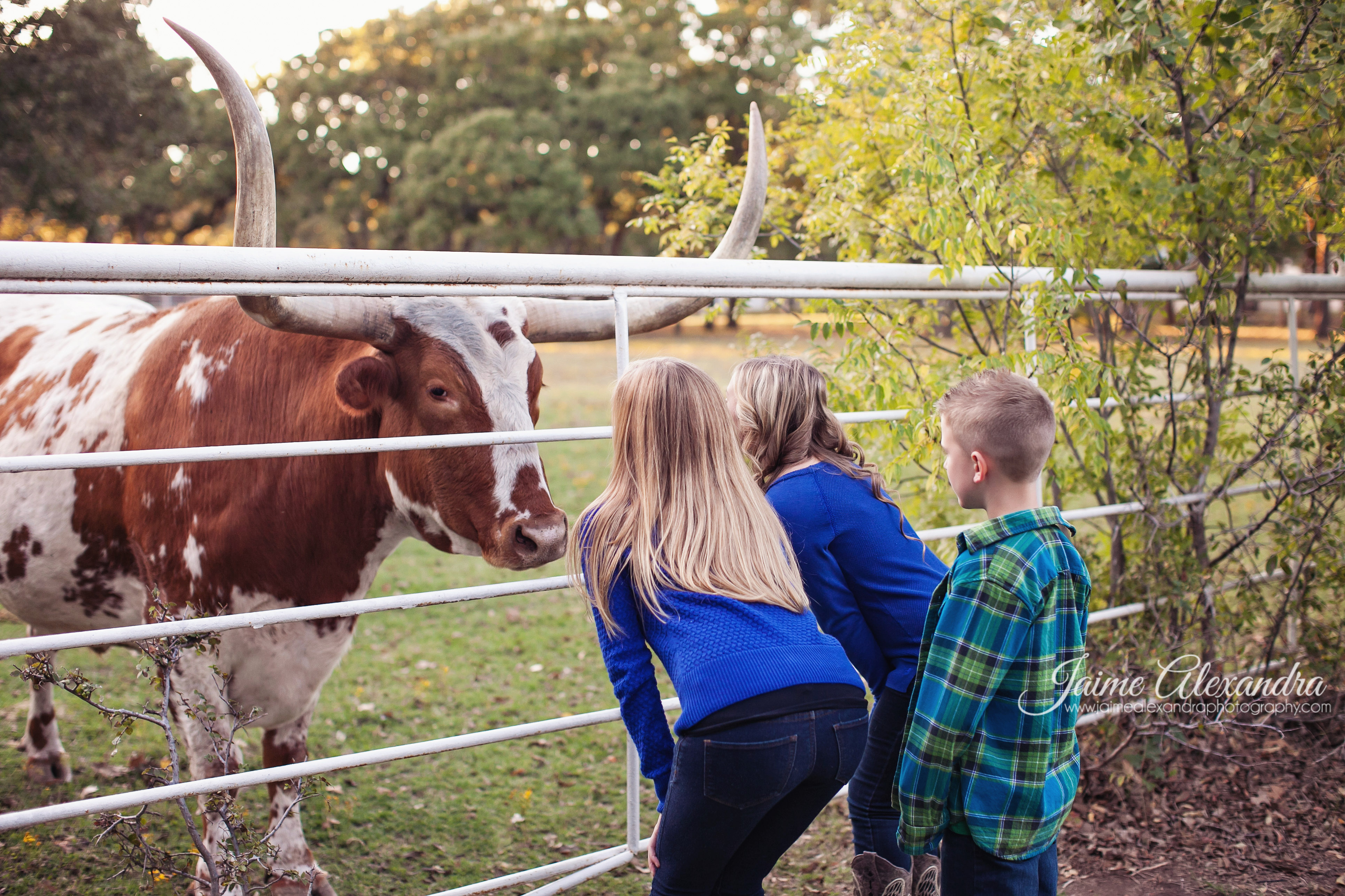 Midlothian Family Photographer, Dallas Fort Worth Family Photographer