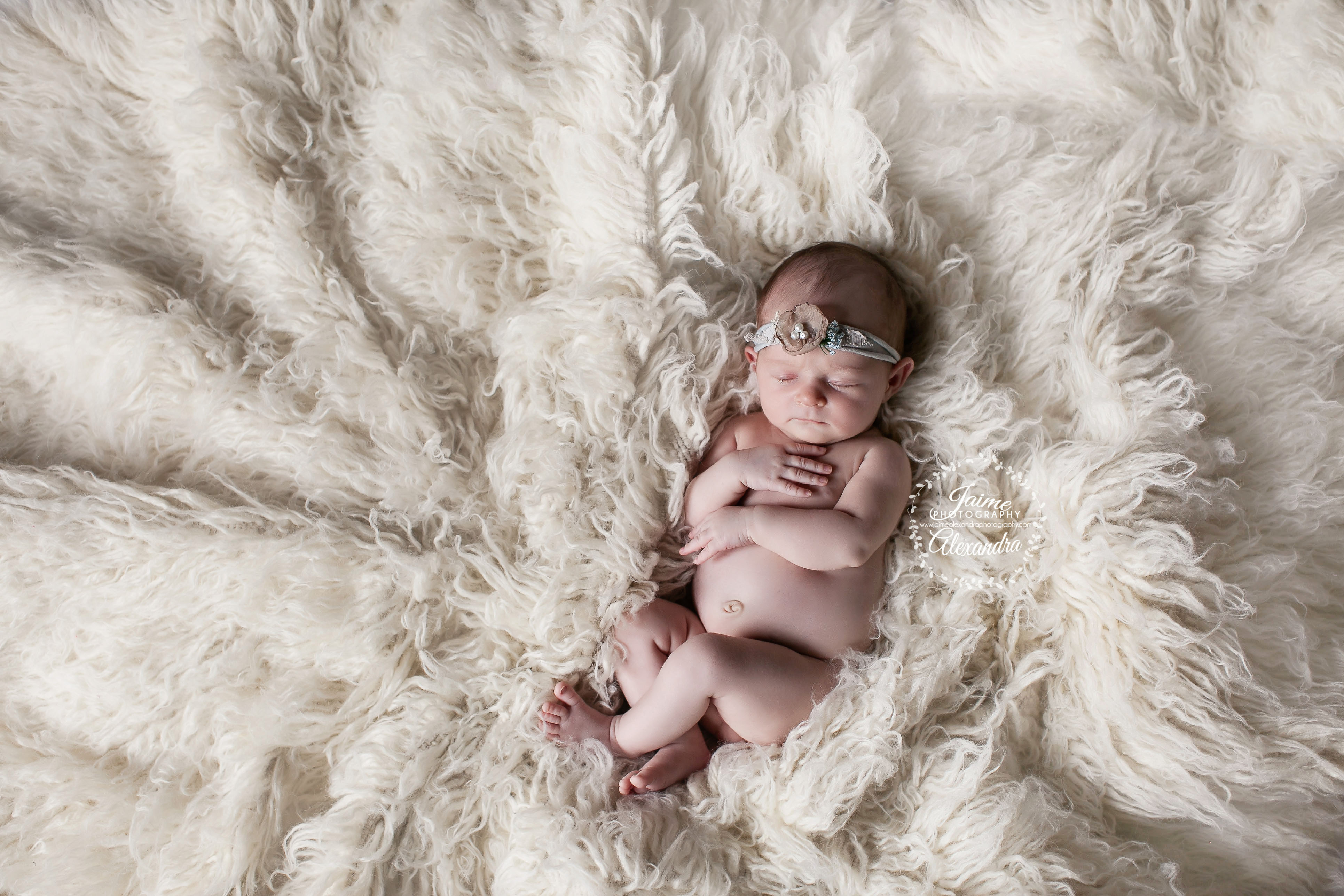 Midlothian Newborn Photographer