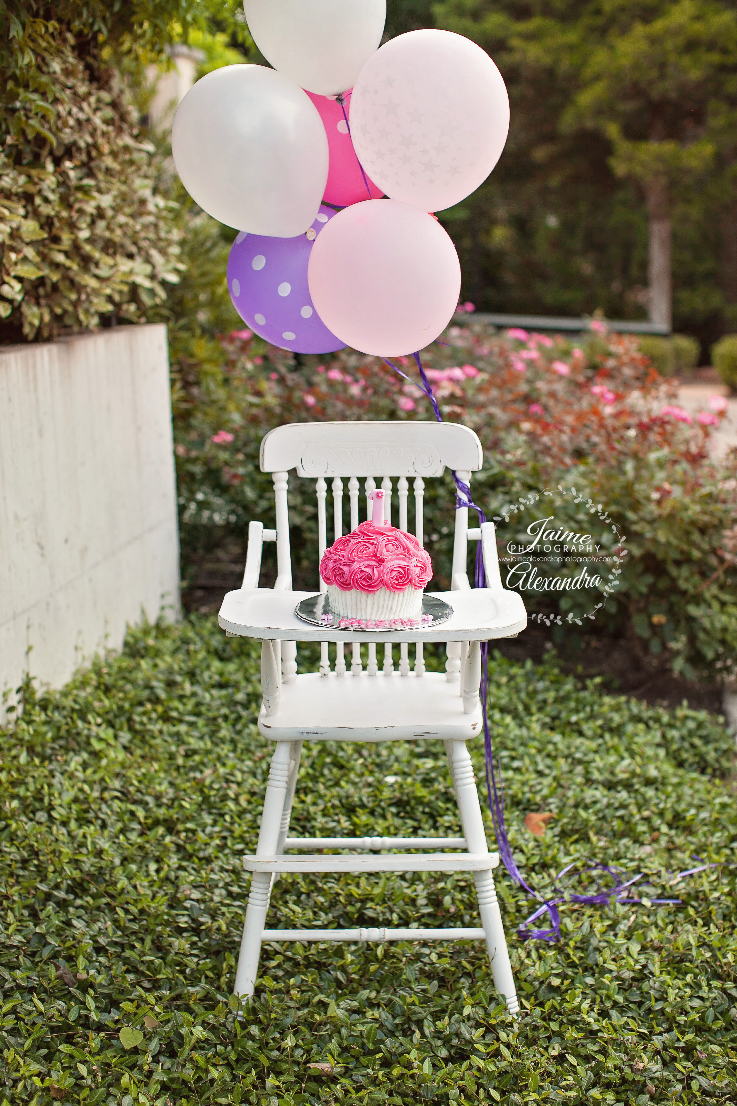 baby photographer mansfield texas