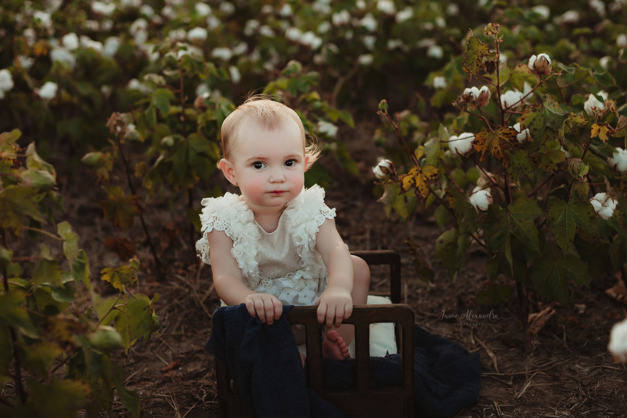 child photographer midlothian tx